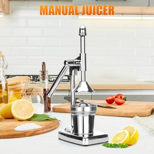 Manual Stainless Steel Hand Juicer - Portable